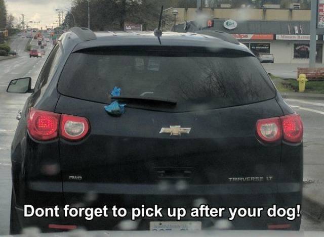 Daily Picdump