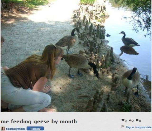 Daily Picdump