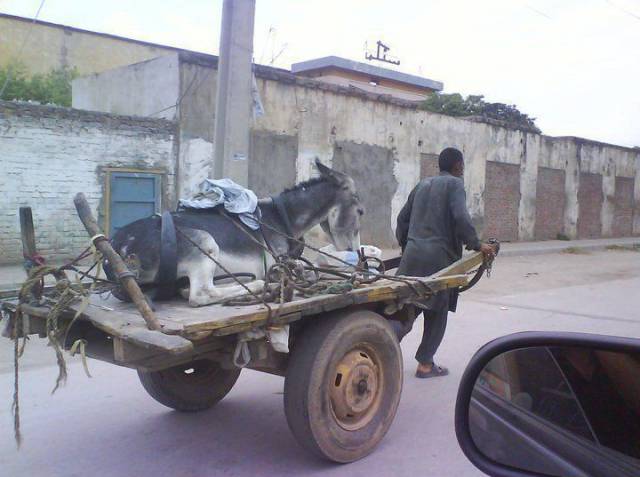 Daily Picdump