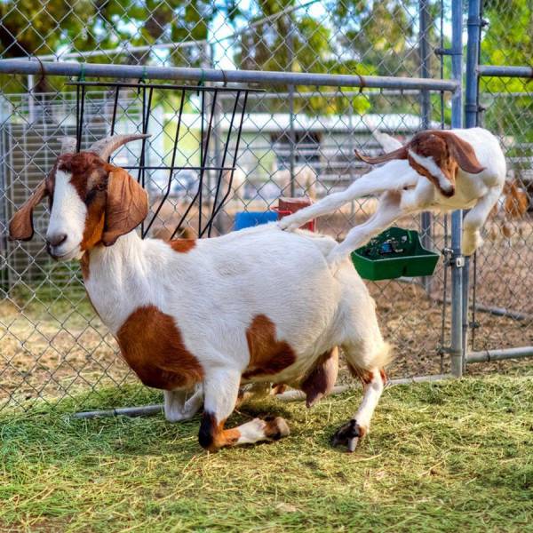 Daily Picdump