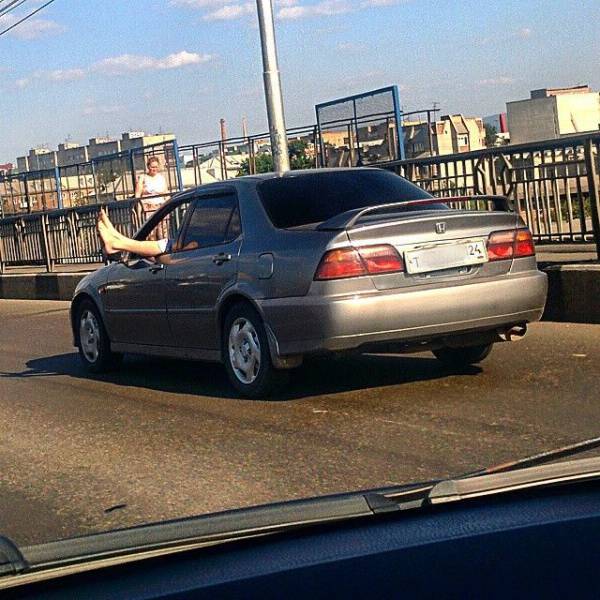 daily picdump 98 pics 22.html - 98 HD Photos | Premium Gallery 2017