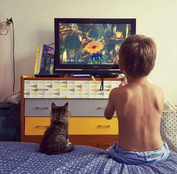 daily picdump 98 pics 22.html - 98 HD Photos | Premium Gallery 2017