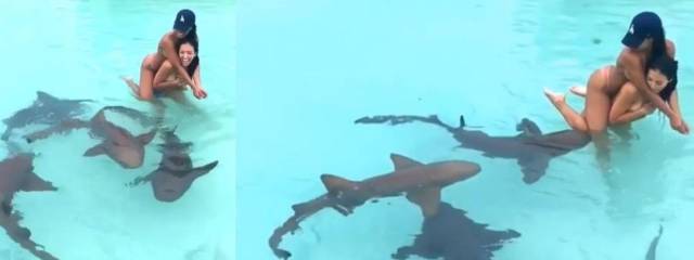 daily picdump 98 pics 22.html - 98 HD Photos | Premium Gallery 2017