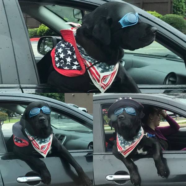 daily picdump 98 pics 22.html - 98 HD Photos | Premium Gallery 2017