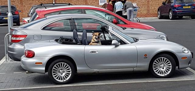 daily picdump 98 pics 22.html - 98 HD Photos | Premium Gallery 2017