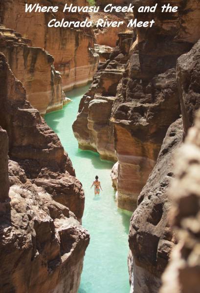 daily picdump 98 pics 22.html - 98 HD Photos | Premium Gallery 2017