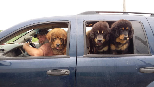 morning picdump 54 pics 12.html - 54 HD Photos | Premium Gallery 2017