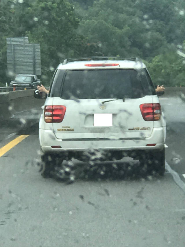 morning picdump 54 pics 12.html - 54 HD Photos | Premium Gallery 2017