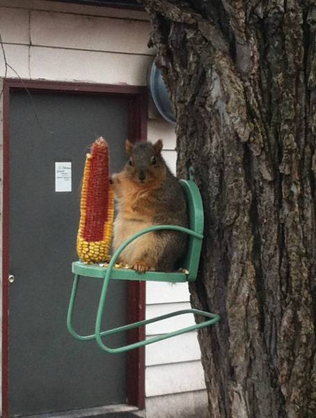 Daily Picdump
