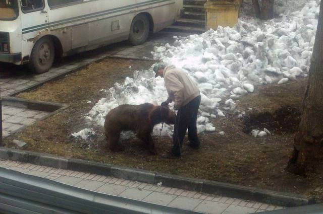 Daily Picdump