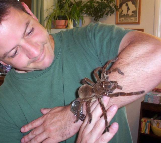 Daily Picdump