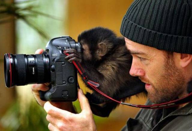 Daily Picdump