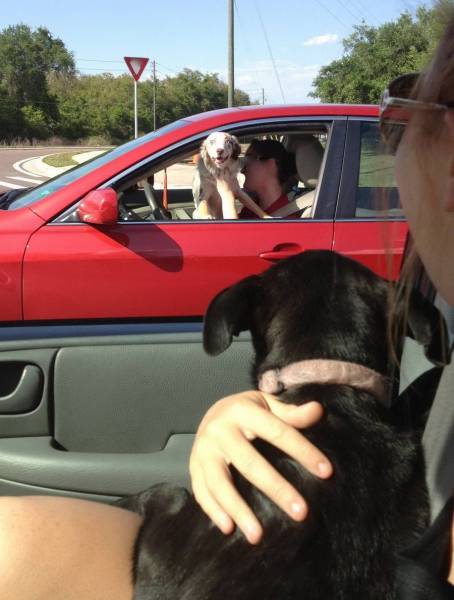 Daily Picdump