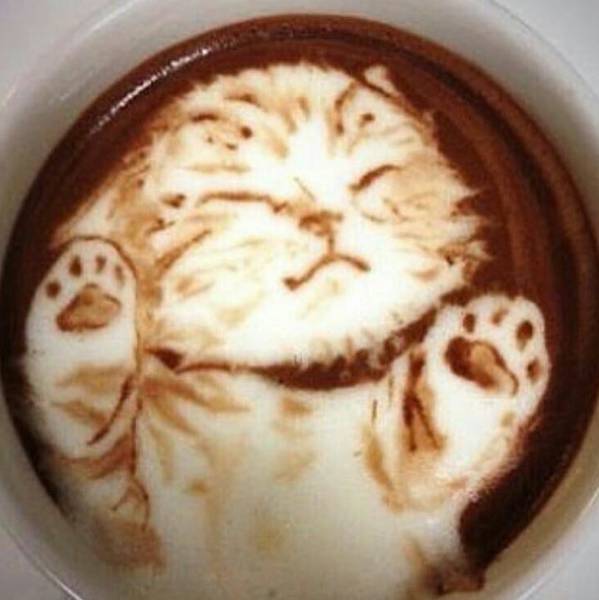 morning picdump 50 pics 22.html - 50 HD Photos | Premium Gallery 2017