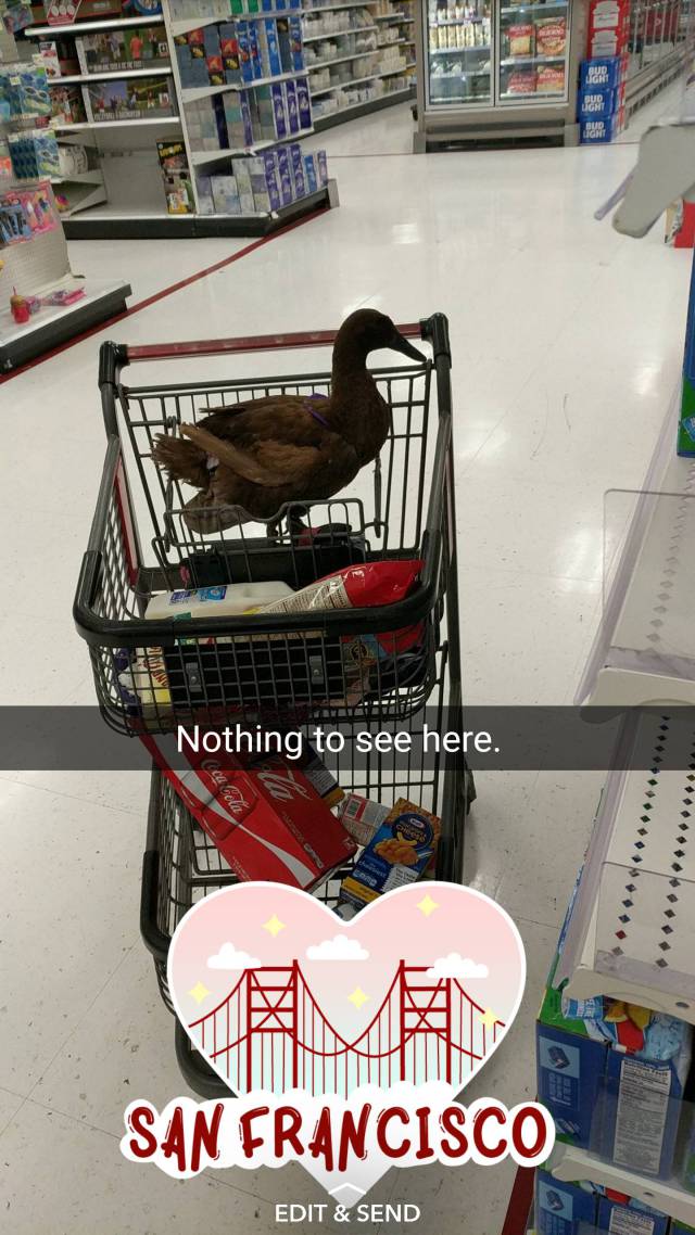 morning picdump 50 pics 22.html - 50 HD Photos | Premium Gallery 2017