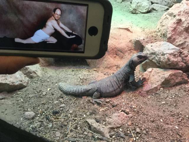 daily picdump 93 pics 38.html - 93 HD Photos | Premium Gallery 2017