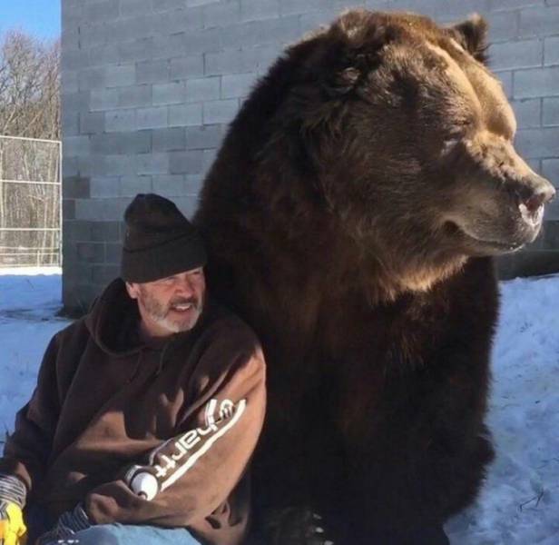 daily picdump 93 pics 38.html - 93 HD Photos | Premium Gallery 2017