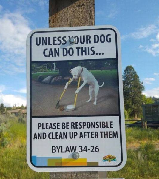 daily picdump 93 pics 38.html - 93 HD Photos | Premium Gallery 2017