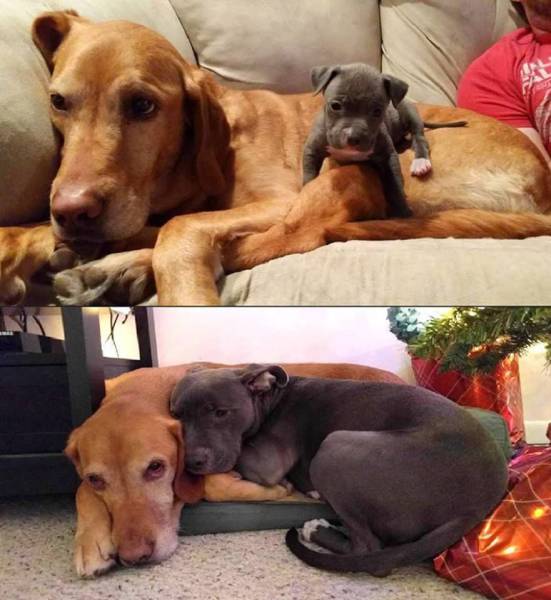 daily picdump 93 pics 38.html - 93 HD Photos | Premium Gallery 2017