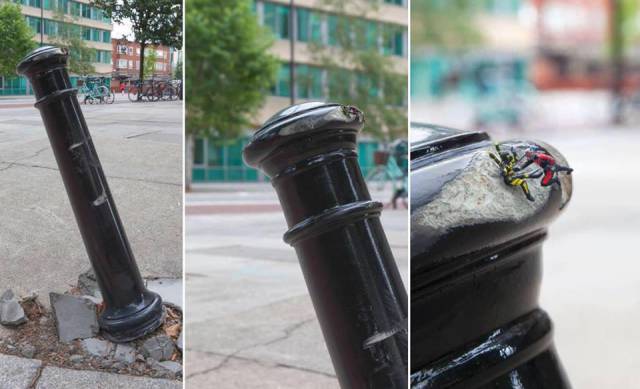 morning picdump 50 pics 16.html - 50 HD Photos | Premium Gallery 2017