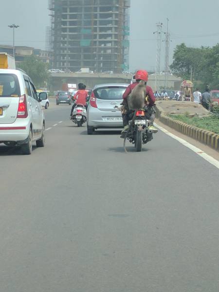 morning picdump 50 pics 16.html - 50 HD Photos | Premium Gallery 2017