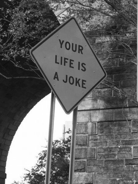 Daily Picdump [WEEKEND EDITION]