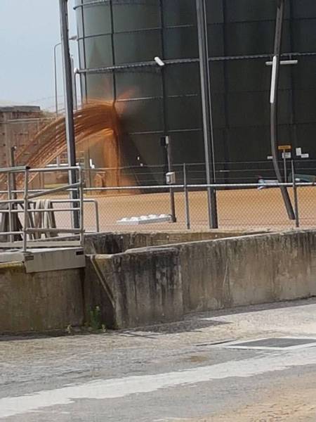 daily picdump weekend edition 66 pics 2.html - 66 HD Photos | Premium Gallery 2017