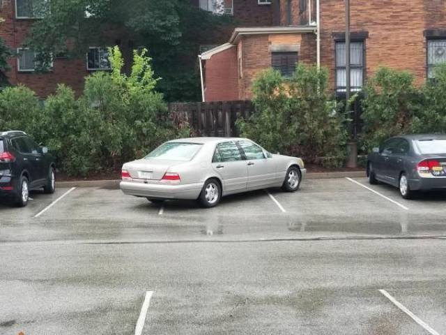 daily picdump weekend edition 66 pics 2.html - 66 HD Photos | Premium Gallery 2017