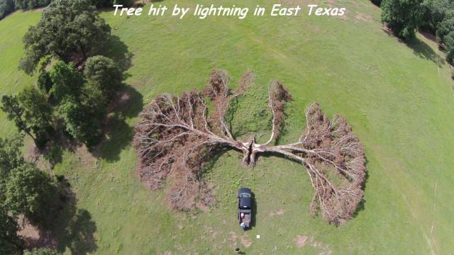 daily picdump weekend edition 66 pics 2.html - 66 HD Photos | Premium Gallery 2017