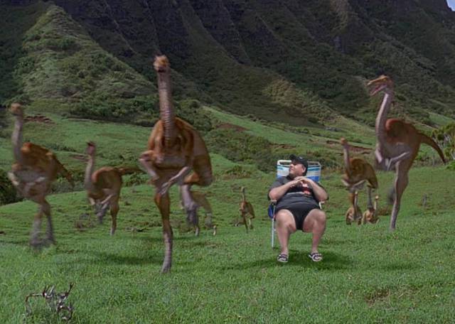 daily picdump weekend edition 66 pics 2.html - 66 HD Photos | Premium Gallery 2017