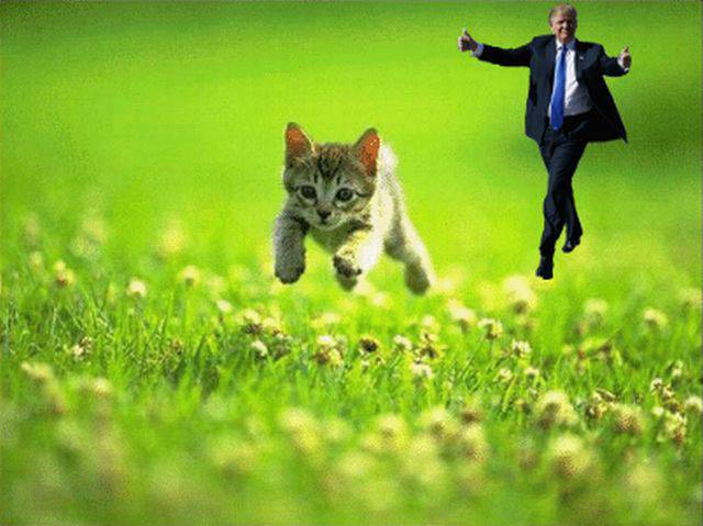 daily picdump weekend edition 66 pics 2.html - 66 HD Photos | Premium Gallery 2017