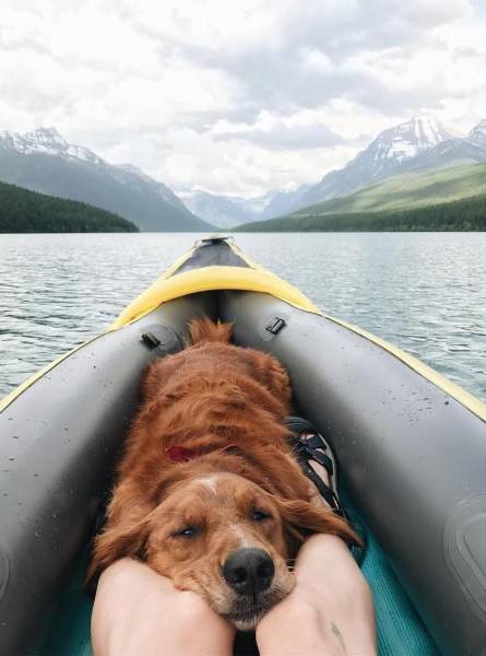 daily picdump 97 pics 17.html - 97 HD Photos | Premium Gallery 2017