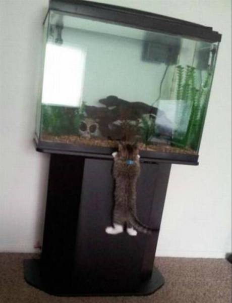 daily picdump 97 pics 17.html - 97 HD Photos | Premium Gallery 2017