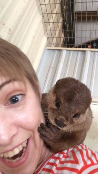 daily picdump 97 pics 17.html - 97 HD Photos | Premium Gallery 2017