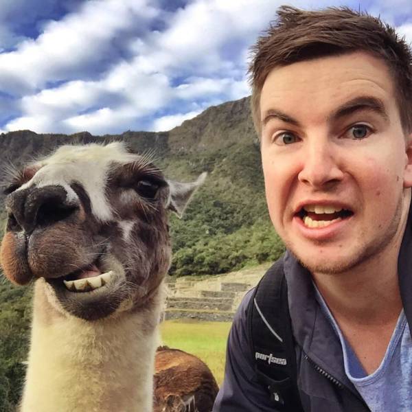 daily picdump 97 pics 17.html - 97 HD Photos | Premium Gallery 2017