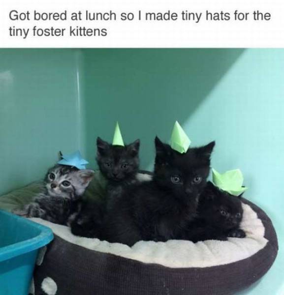 daily picdump 97 pics 17.html - 97 HD Photos | Premium Gallery 2017