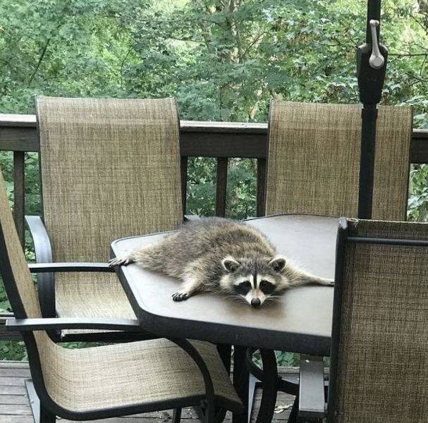 daily picdump 97 pics 17.html - 97 HD Photos | Premium Gallery 2017