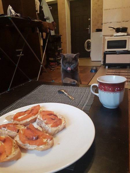 daily picdump 97 pics 17.html - 97 HD Photos | Premium Gallery 2017