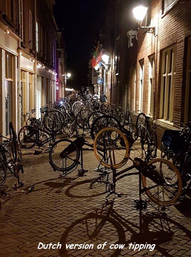 daily picdump 97 pics 17.html - 97 HD Photos | Premium Gallery 2017