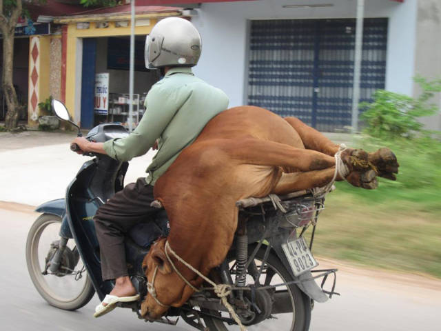 morning picdump 50 pics 15.html - 50 HD Photos | Premium Gallery 2017