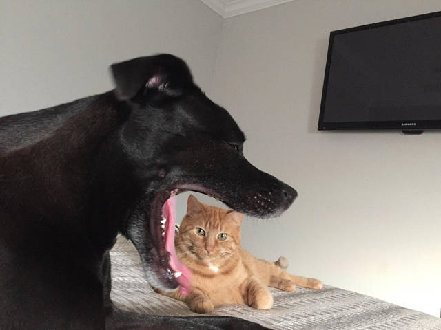 morning picdump 50 pics 15.html - 50 HD Photos | Premium Gallery 2017