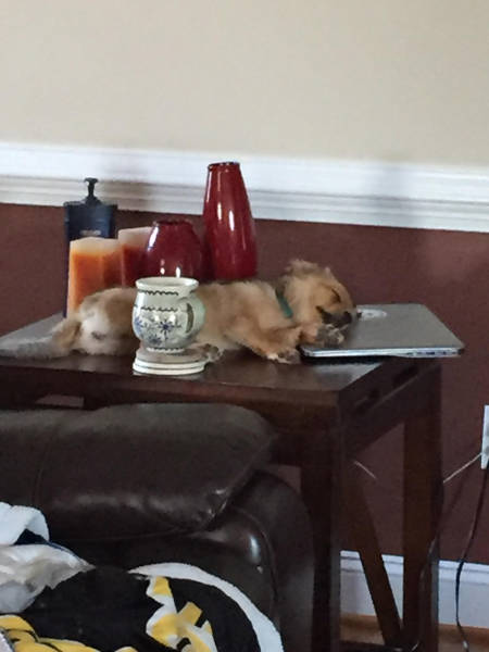 morning picdump 50 pics 2.html - 50 HD Photos | Premium Gallery 2017