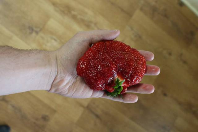 morning picdump 50 pics 2.html - 50 HD Photos | Premium Gallery 2017