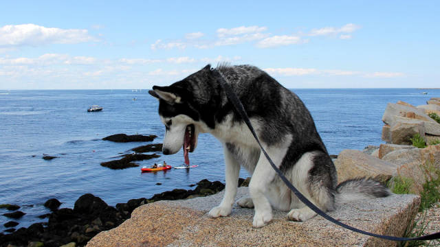 morning picdump 50 pics 11.html - 50 HD Photos | Premium Gallery 2017