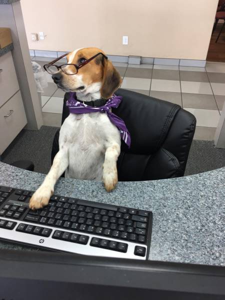 morning picdump 50 pics 11.html - 50 HD Photos | Premium Gallery 2017