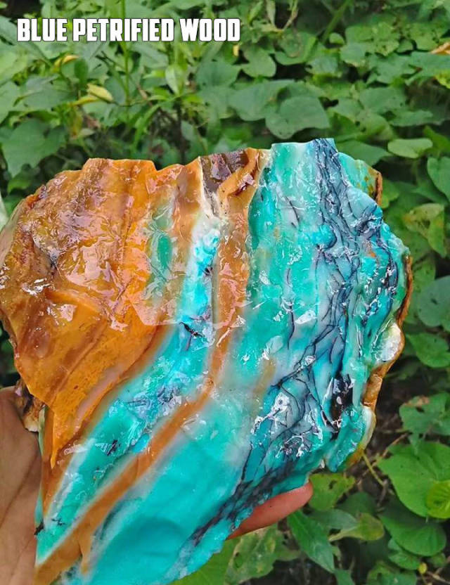 morning picdump 50 pics 11.html - 50 HD Photos | Premium Gallery 2017