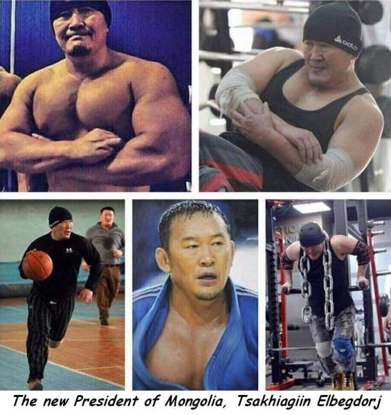 Daily Picdump