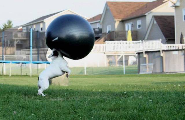 Daily Picdump