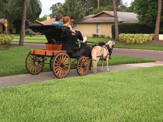 morning picdump 51 pics 3.html - 51 HD Photos | Premium Gallery 2017