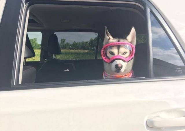 morning picdump 51 pics 3.html - 51 HD Photos | Premium Gallery 2017